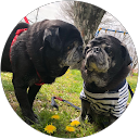 黒猫 profile picture